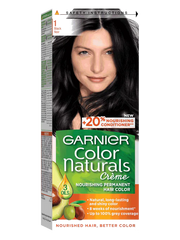 Garnier Natural Color No. (1)