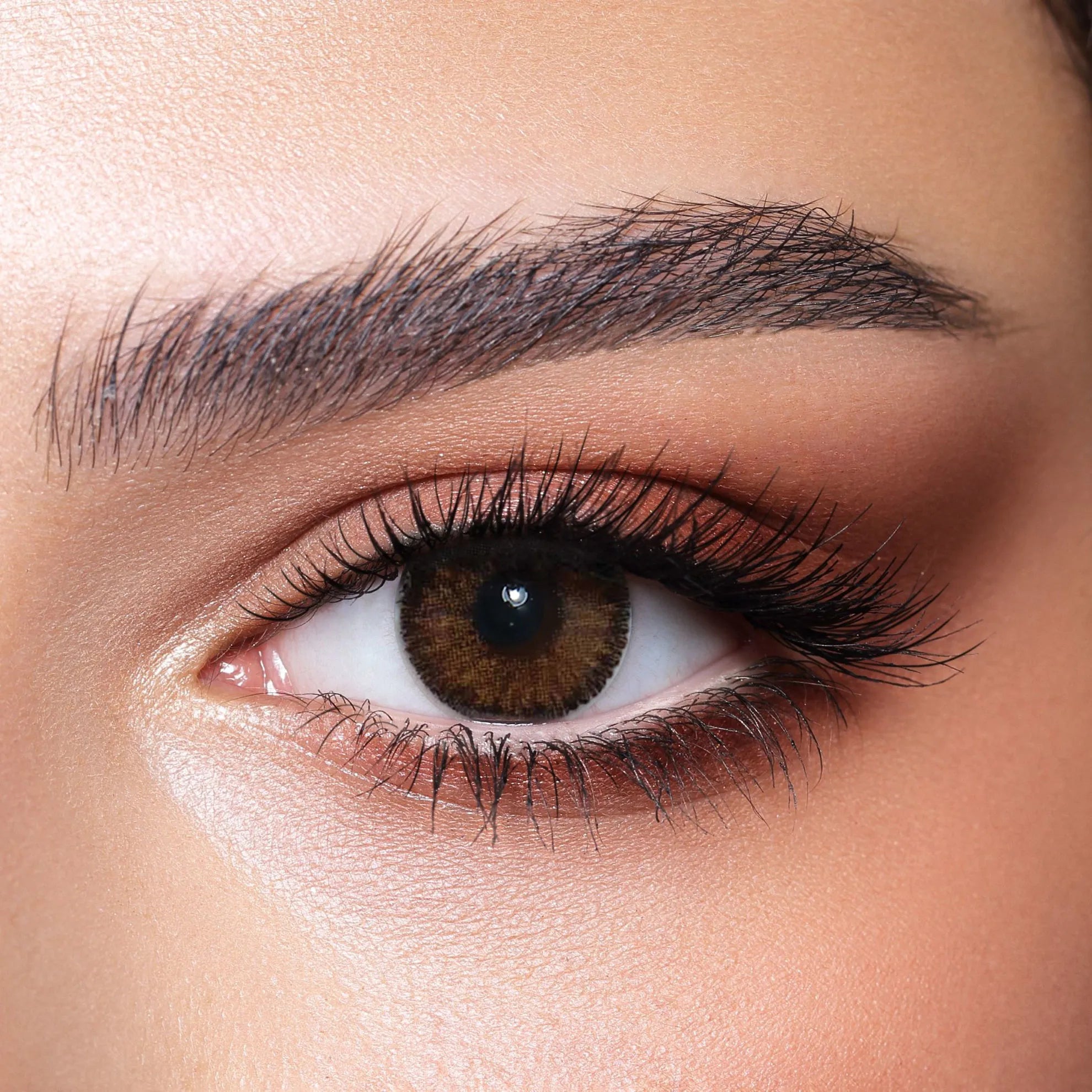 Bella Color Lenses (Contour Hazel)