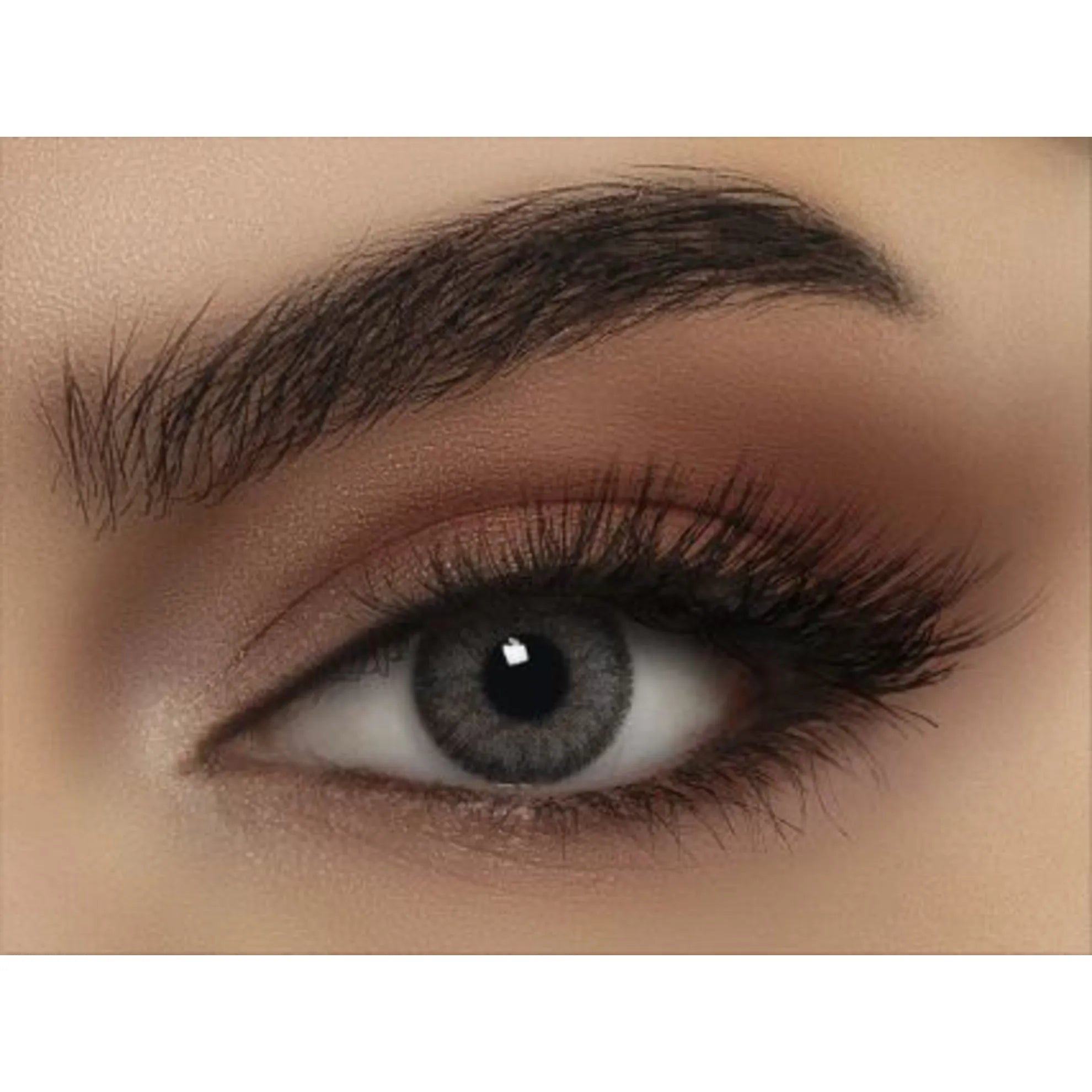 Bella Color Lenses (Contour Platinum)
