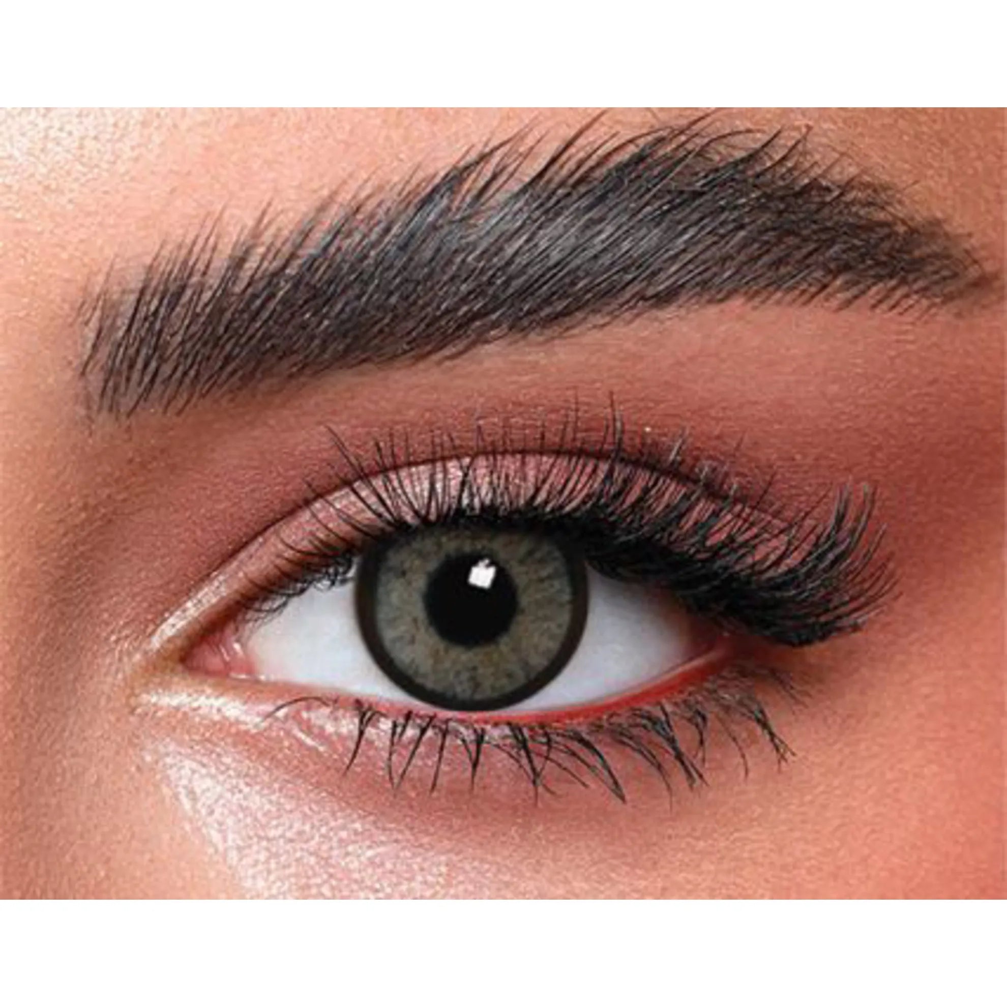 Bella Color Lenses (Highlight Cool Gray)