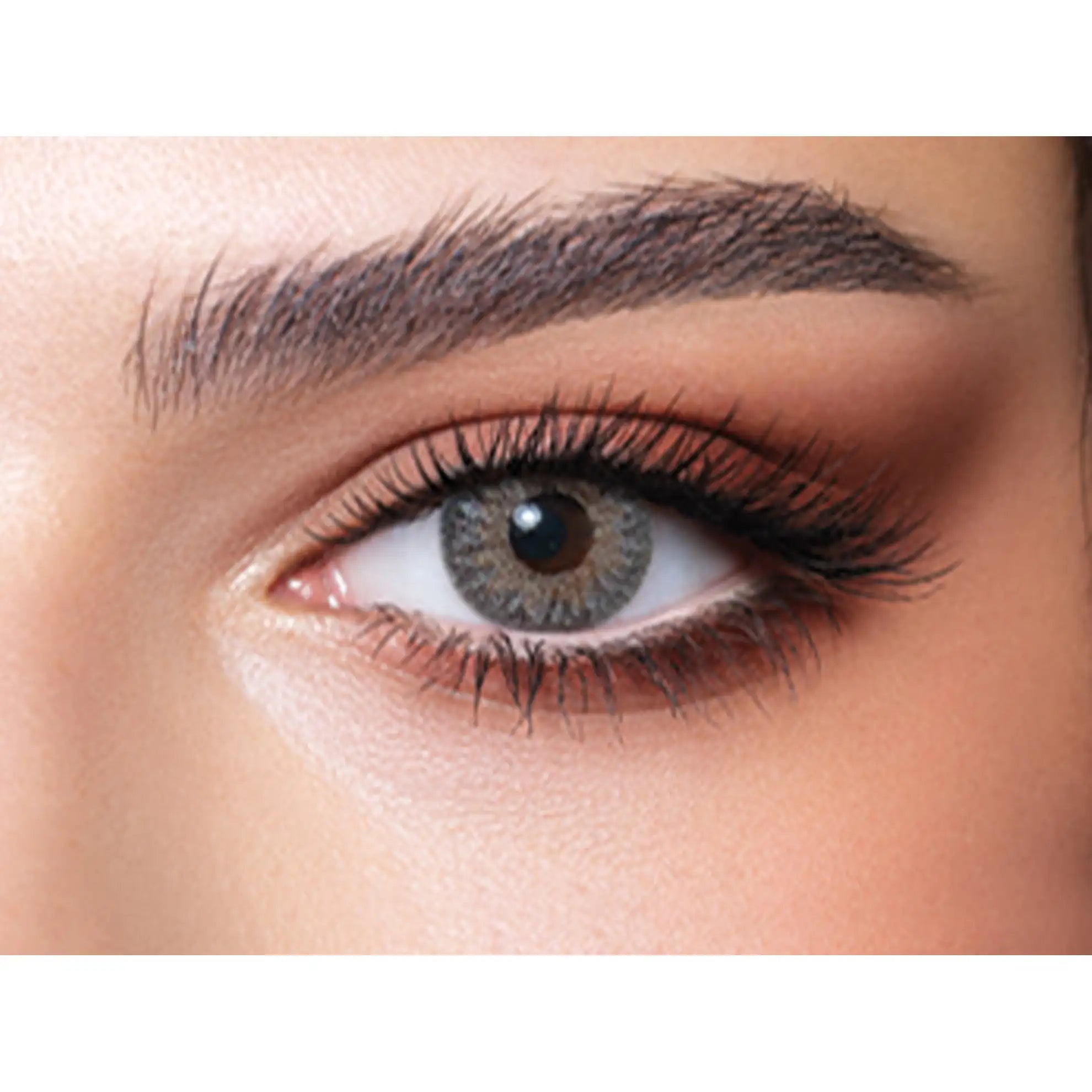 Bella Color Lenses (Natural Gray Silver)