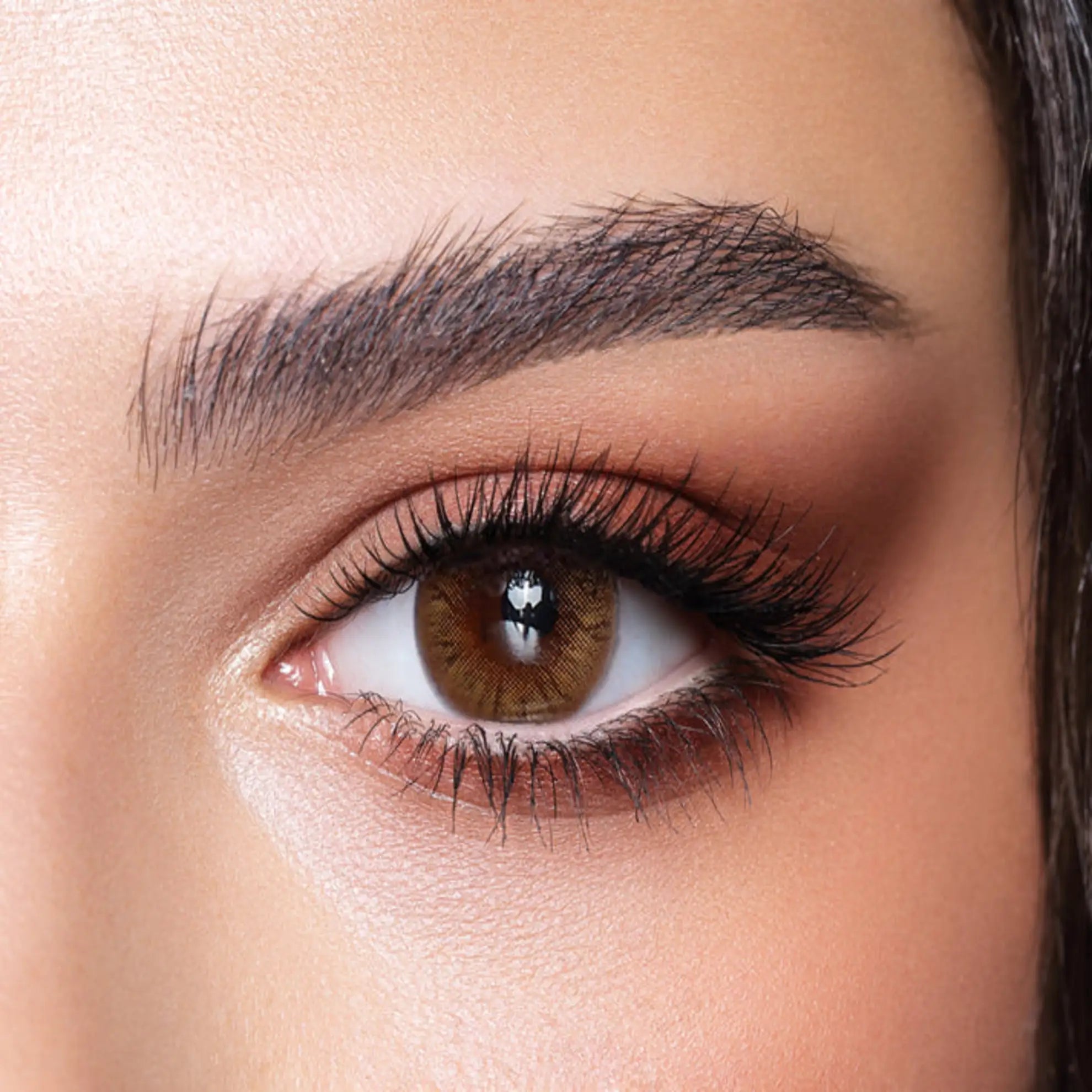 Bella Color Lenses (Natural Hazel)