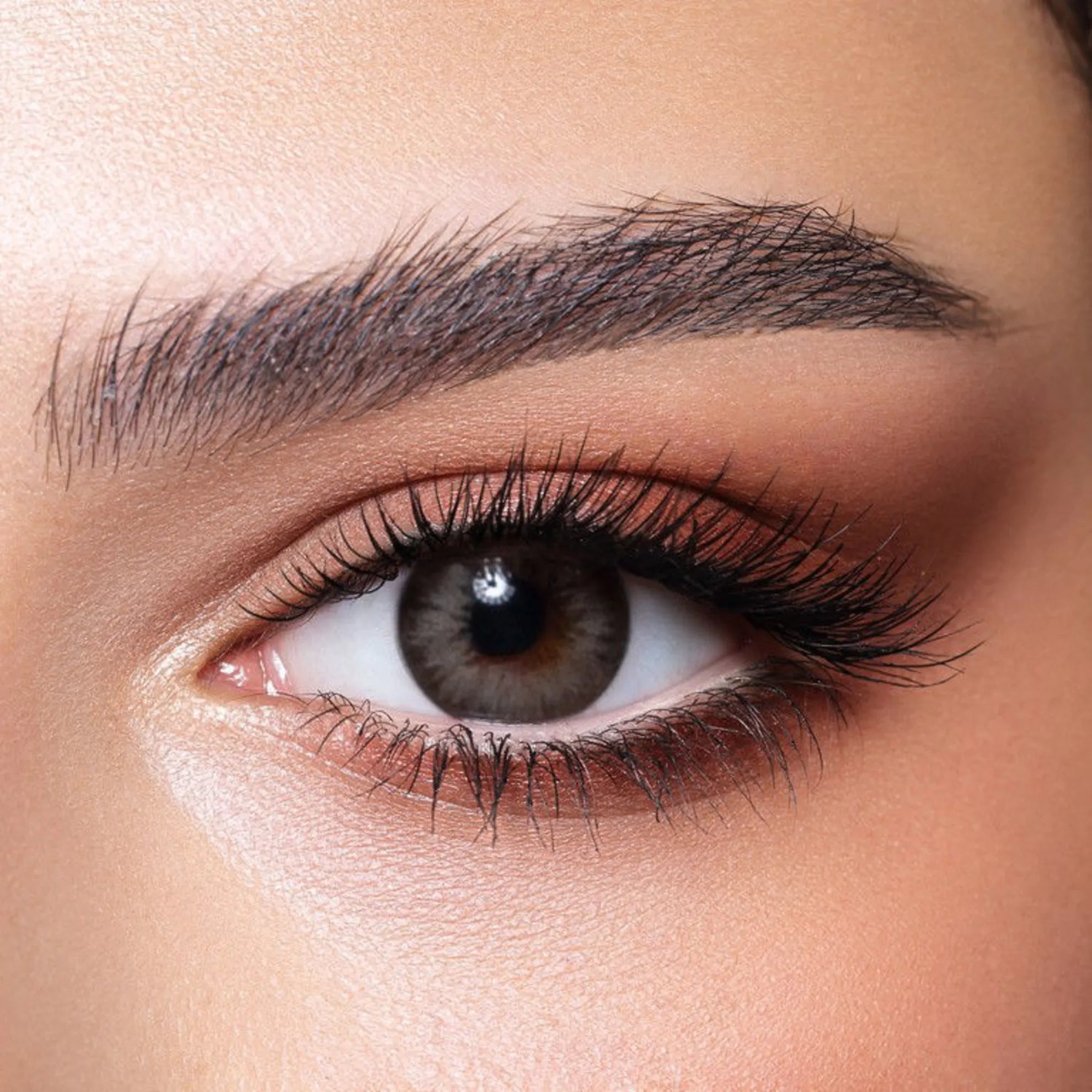 Bella Diamonds Lenses (Almond Gray)