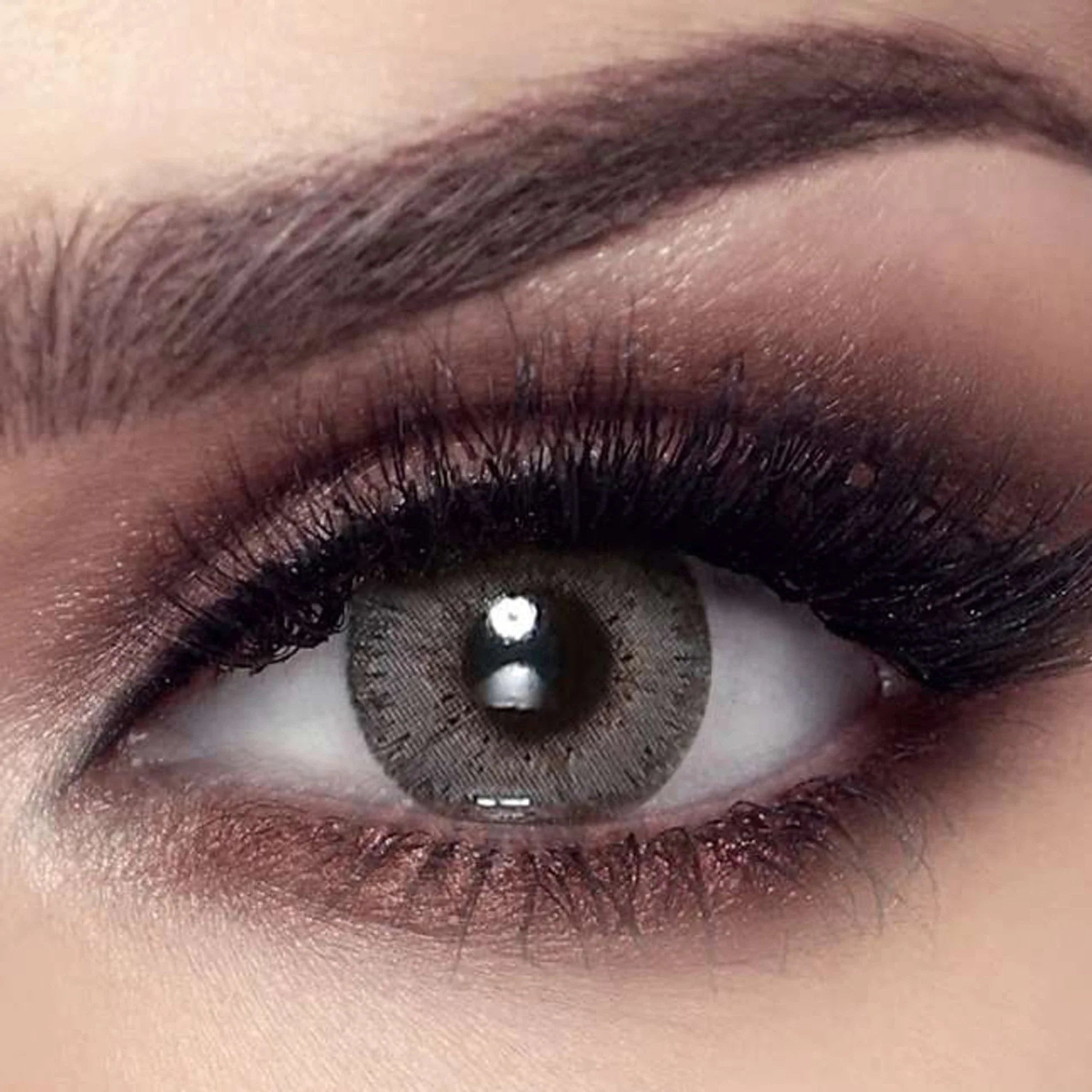 Bella Elite Lenses (Cloudy Gray)