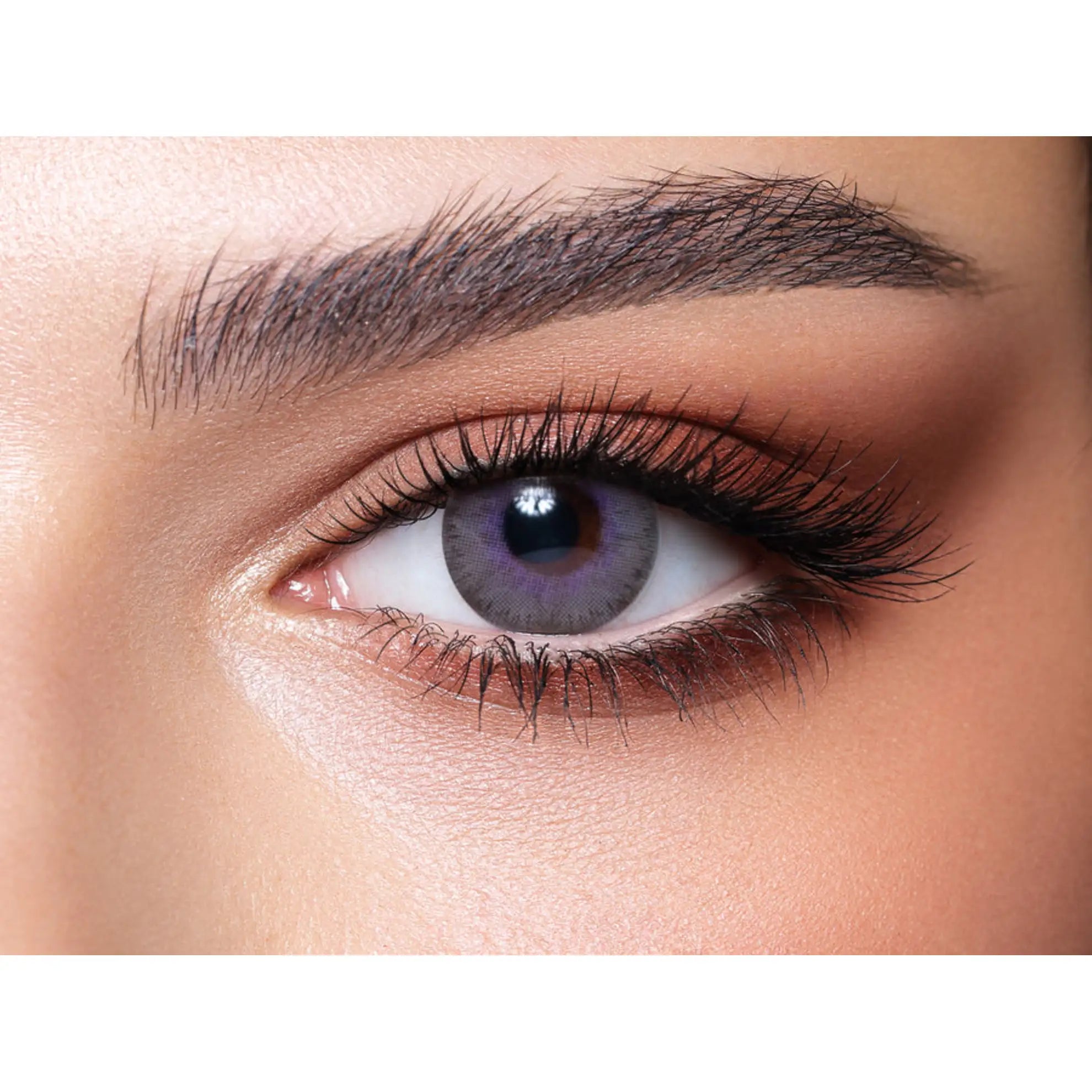 Bella Elite Lenses (Lavender Gray)