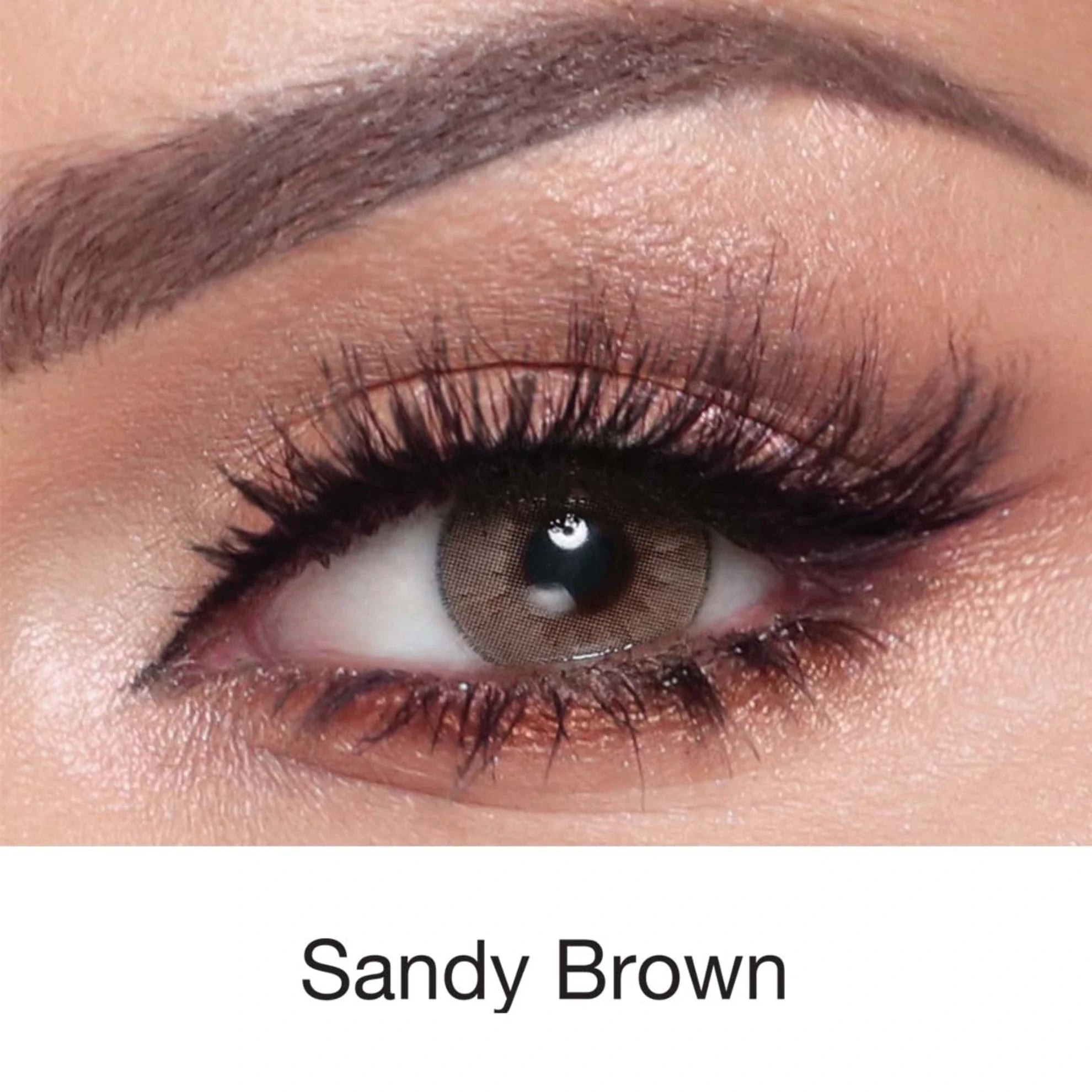 Bella Elite Lenses (Sandy Brown)