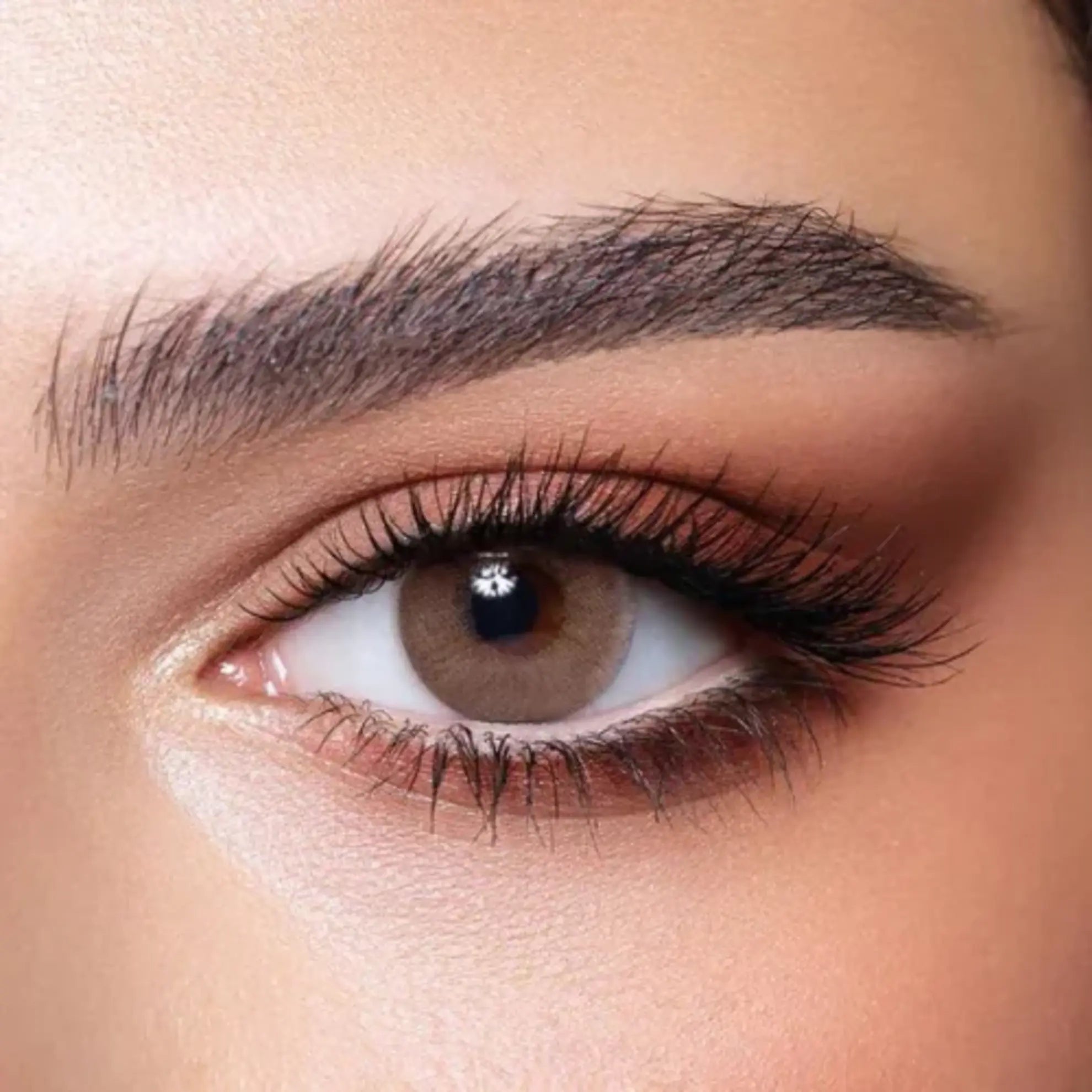 Bella Elite Lenses (Wild Honey)