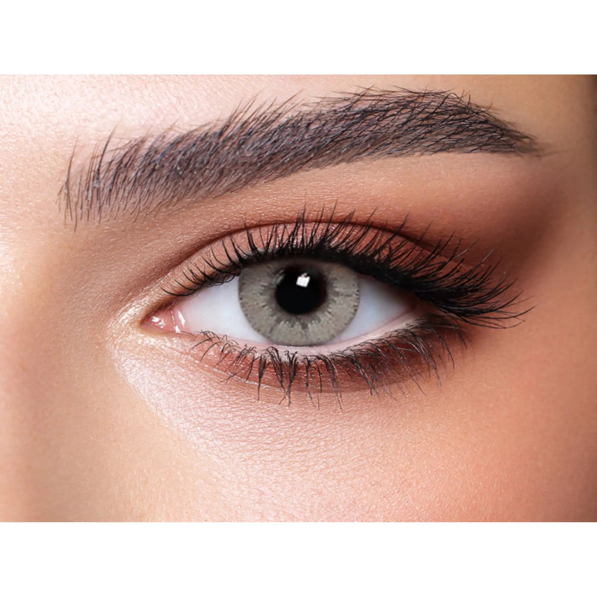 Bella Glow Lenses (Gray Caramel)