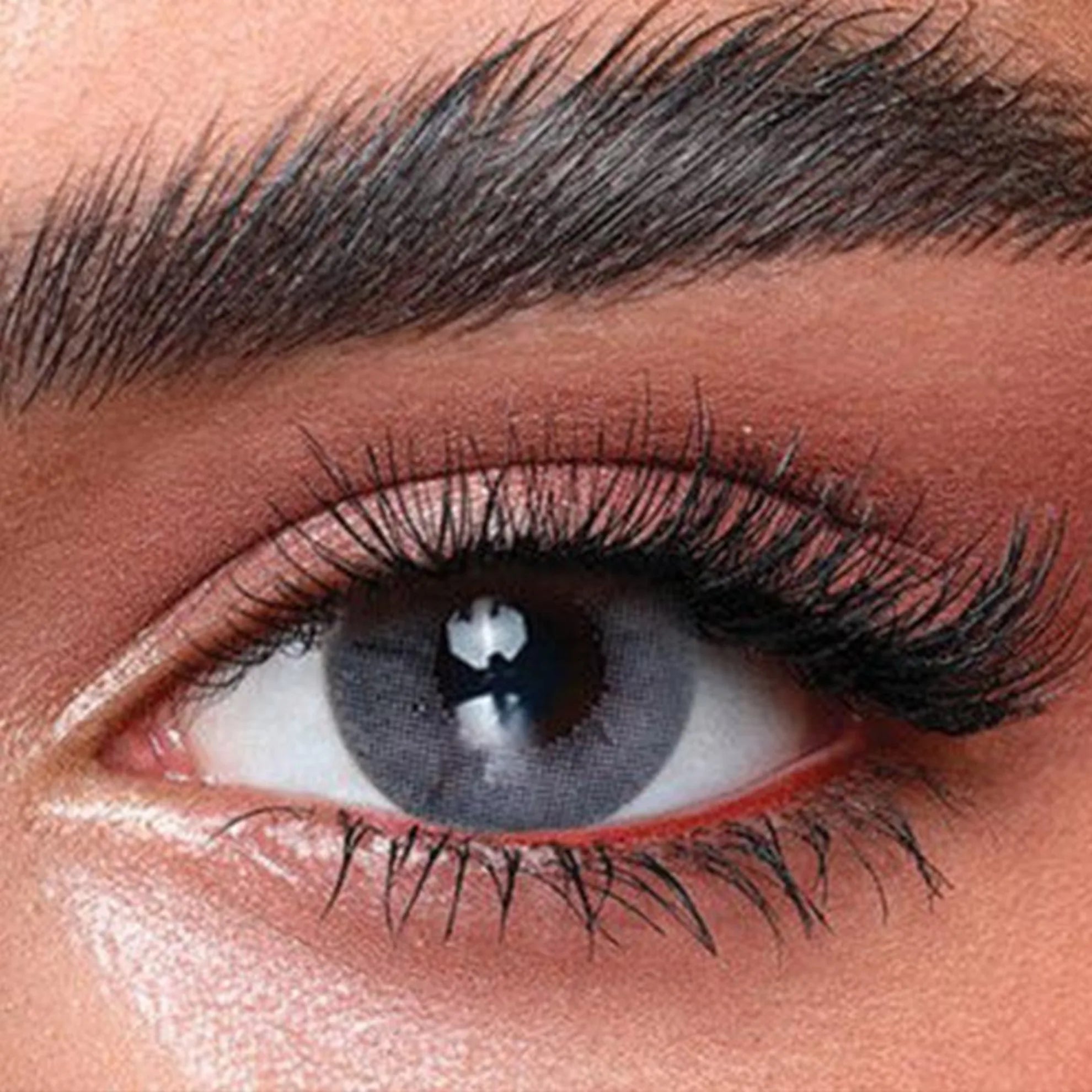 Bella One Day Lenses (Bluish Gray)