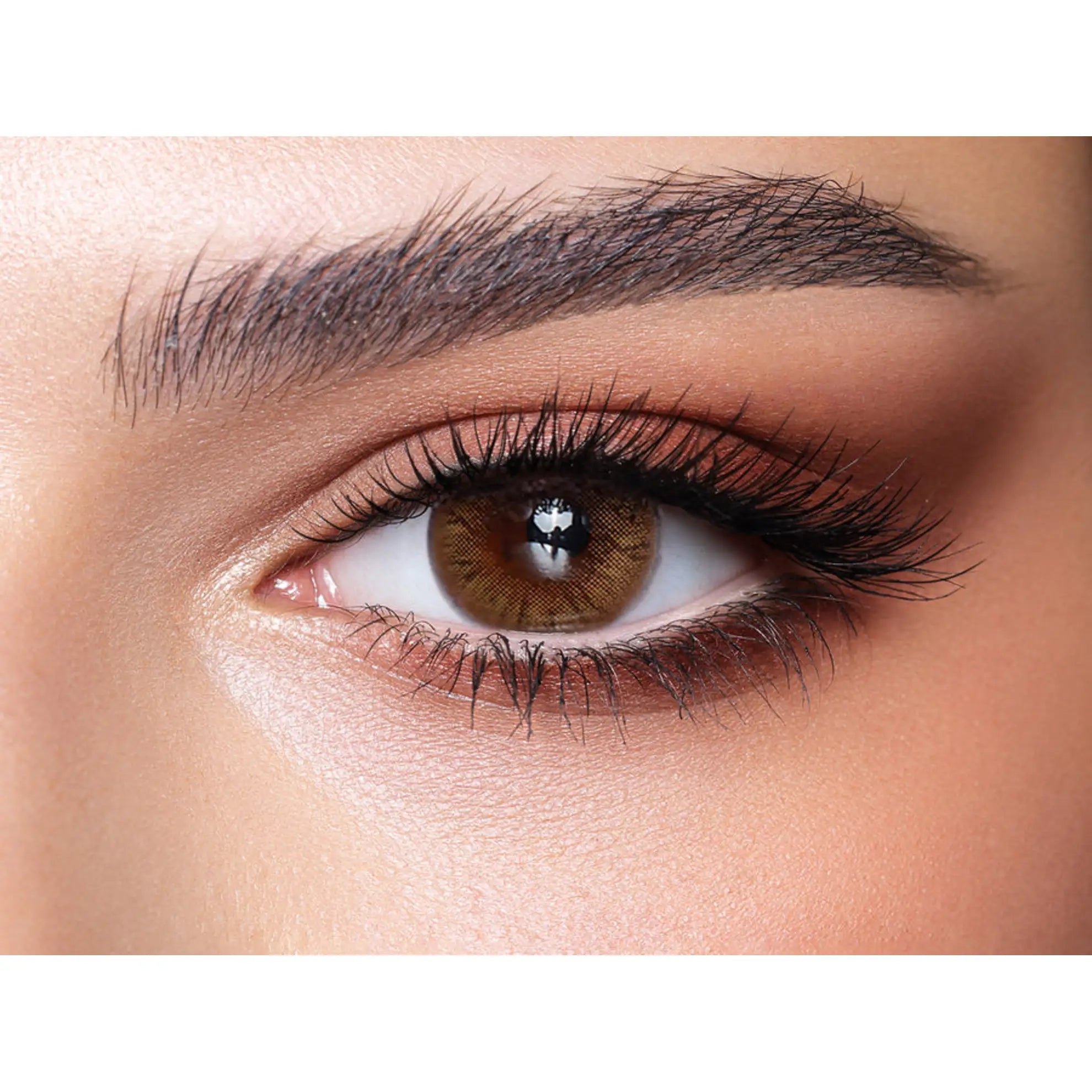Bella One Day Lenses (Hazel Honey)