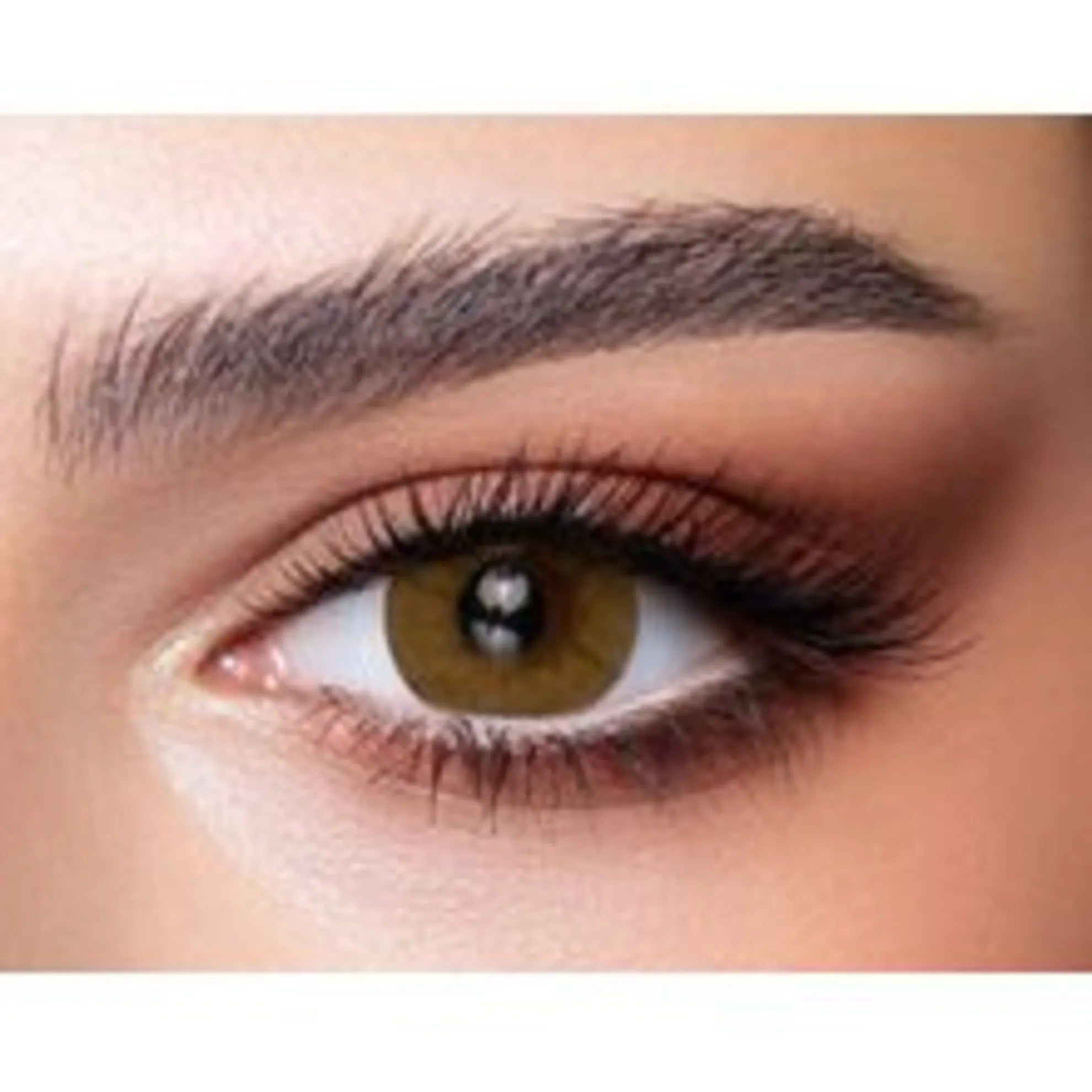 Bella One Day Lenses (Radiant Hazelnut)