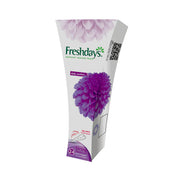 Private Freshdays String 24Pcs